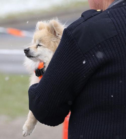 Waiting to go Home.JPG