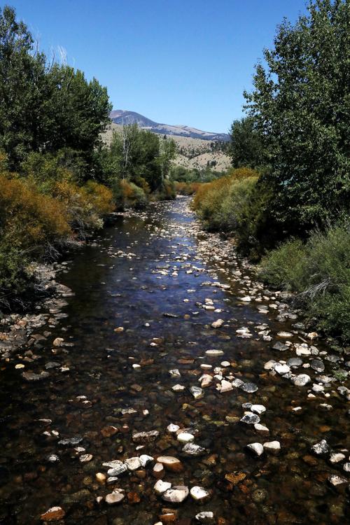 The Wise River