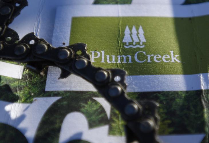 Whither Weyerhaeuser? State's largest landowner looms over timber industry