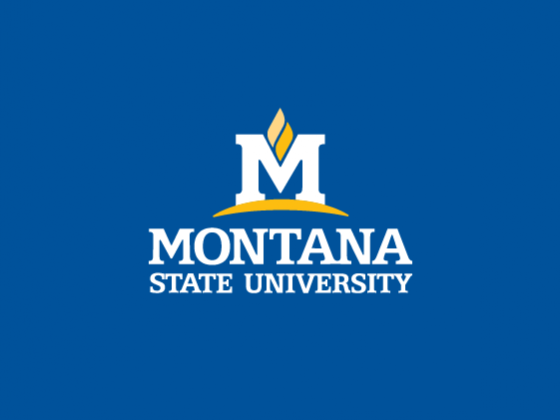 MSU Debut series kicks off school year at Montana State