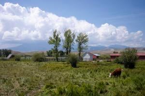 See the open range come to life at Grant-Kohrs Ranch