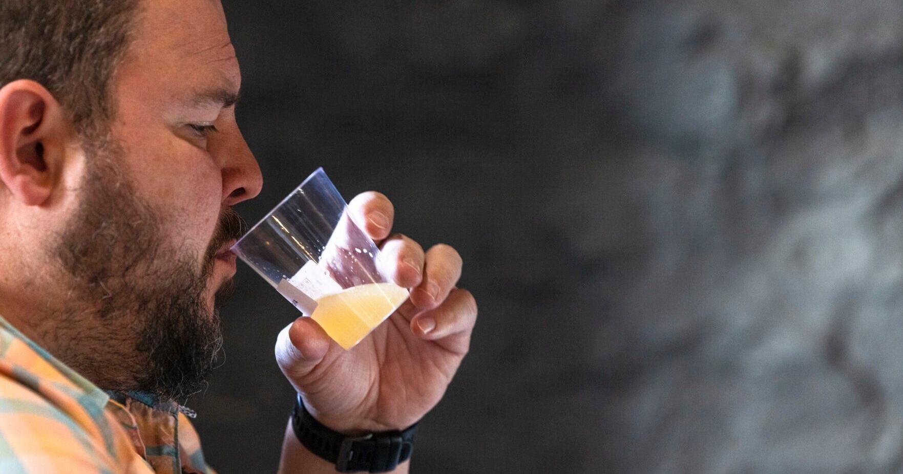 Best of brews: Inaugural Montana Beer Awards judging is on - Vimarsana News