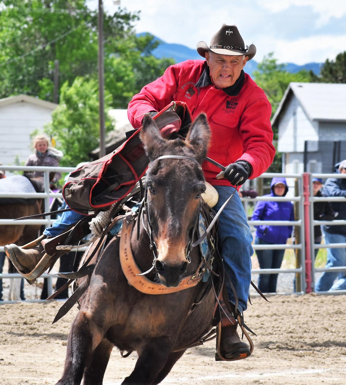 Montana Mule Days this weekend Entertainment