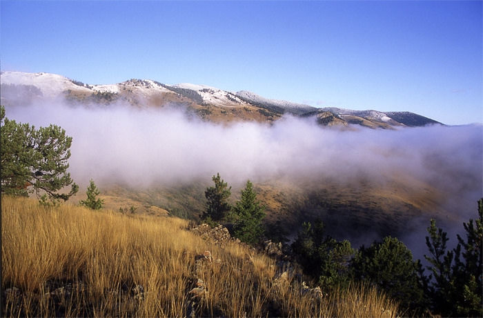 Elkhorn Mountains