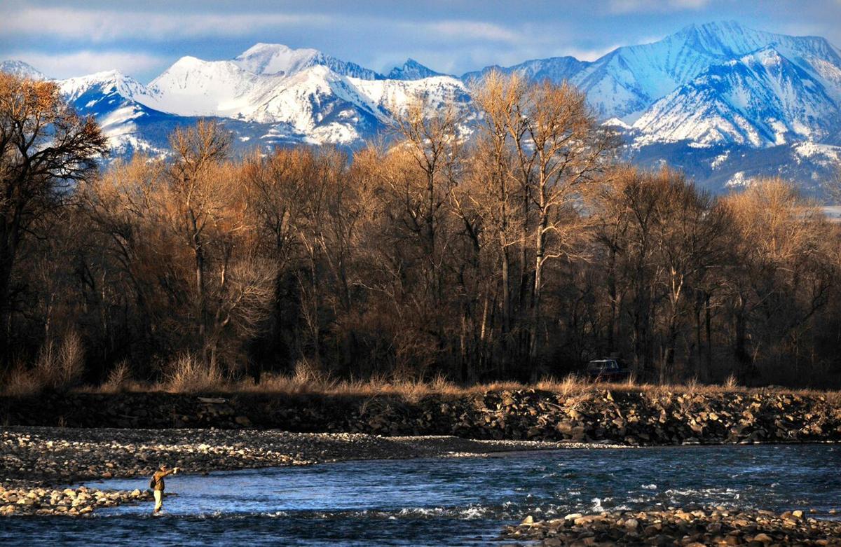 the montana standard