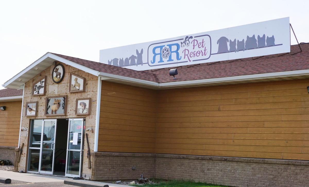 Where likeminded dogs mingle Luxury pet boarding facility opens in