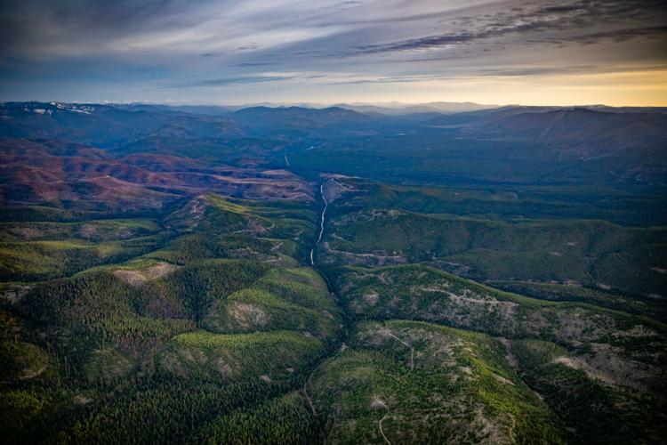 Permanent protection: Upper Thompson CE Phase 1 secures critical habitat in northwest Montana