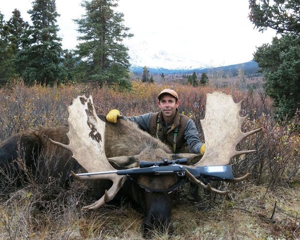 mckean moose.jpg