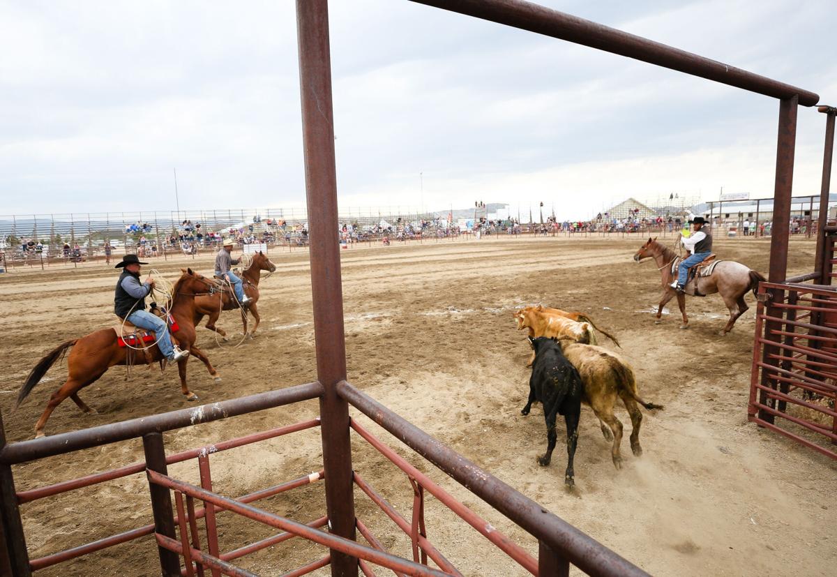 Photos Rodeos at ButteSilver Bow County Fair