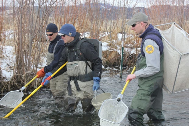 Can you eat the fish in Silver Bow Creek?