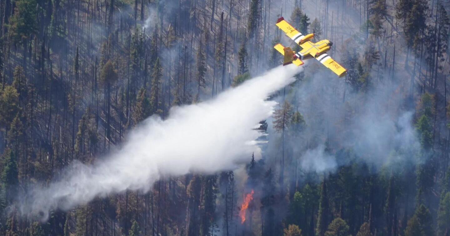Colt fire bursts to 100+ acres, national team called in - Vimarsana News