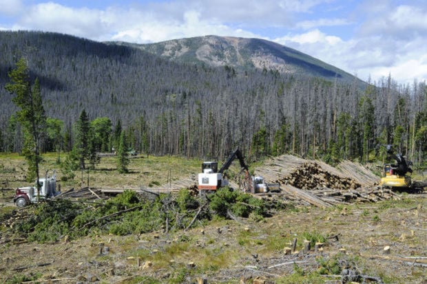 The Chessman Reservoir timber project is one of the many Forest service projects to come under litigation in recent years.