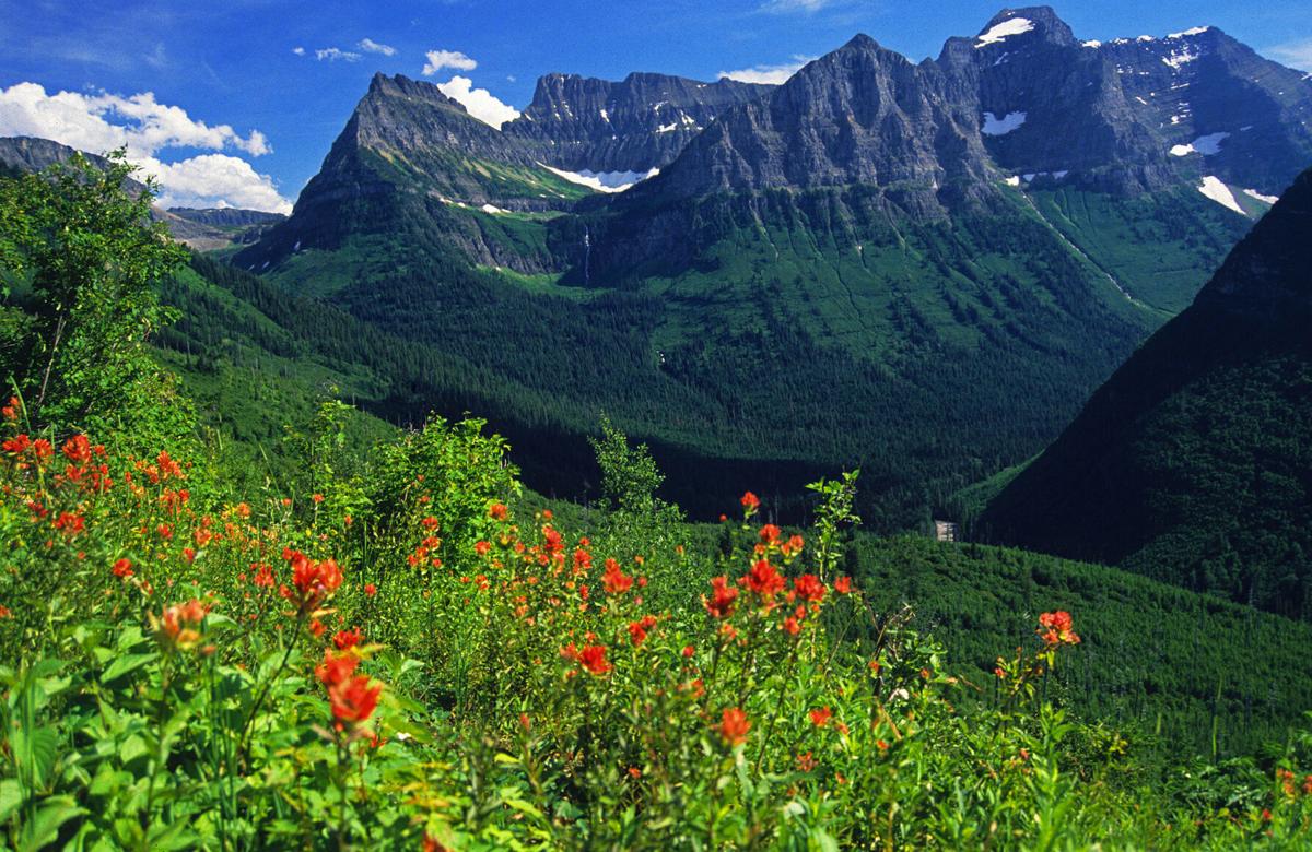 Mountains' majesties Montana's peaks define state State & Regional