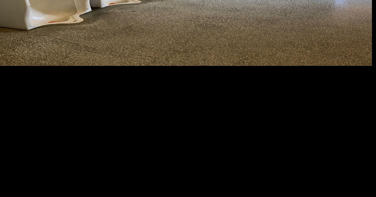 Options are in for upgrading 'Noah's Ark' courthouse restrooms