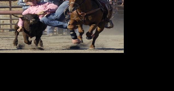 TGIF Snapshots: Rodeos on tap, fiber festival, history hike and more - Vimarsana News