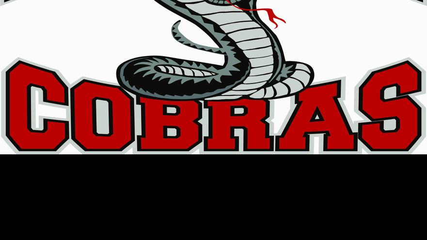 Cobras in search of host families for ’14; Hockey team’s players will ...