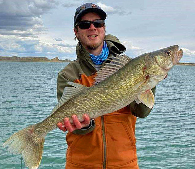 Walleye