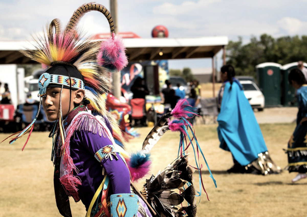 Question #87: Name one American Indian tribe in the United States.