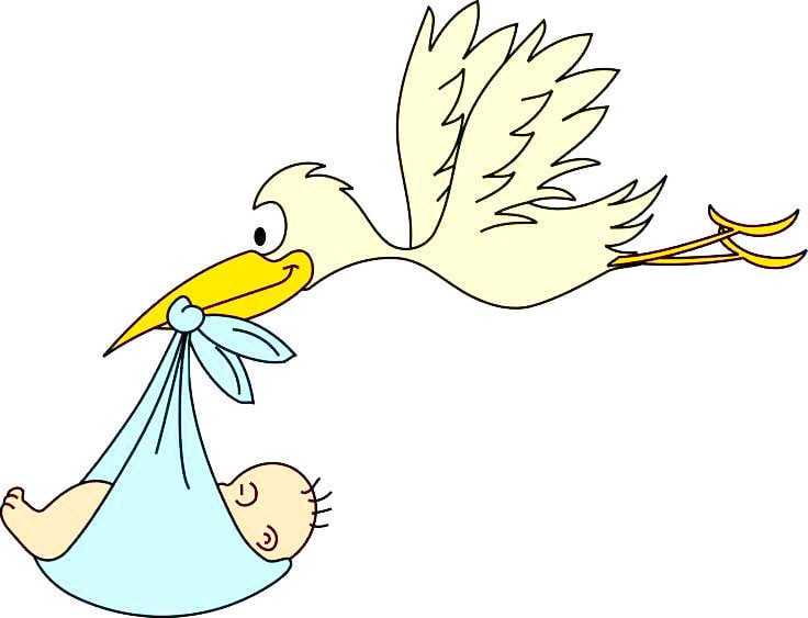Stork with baby