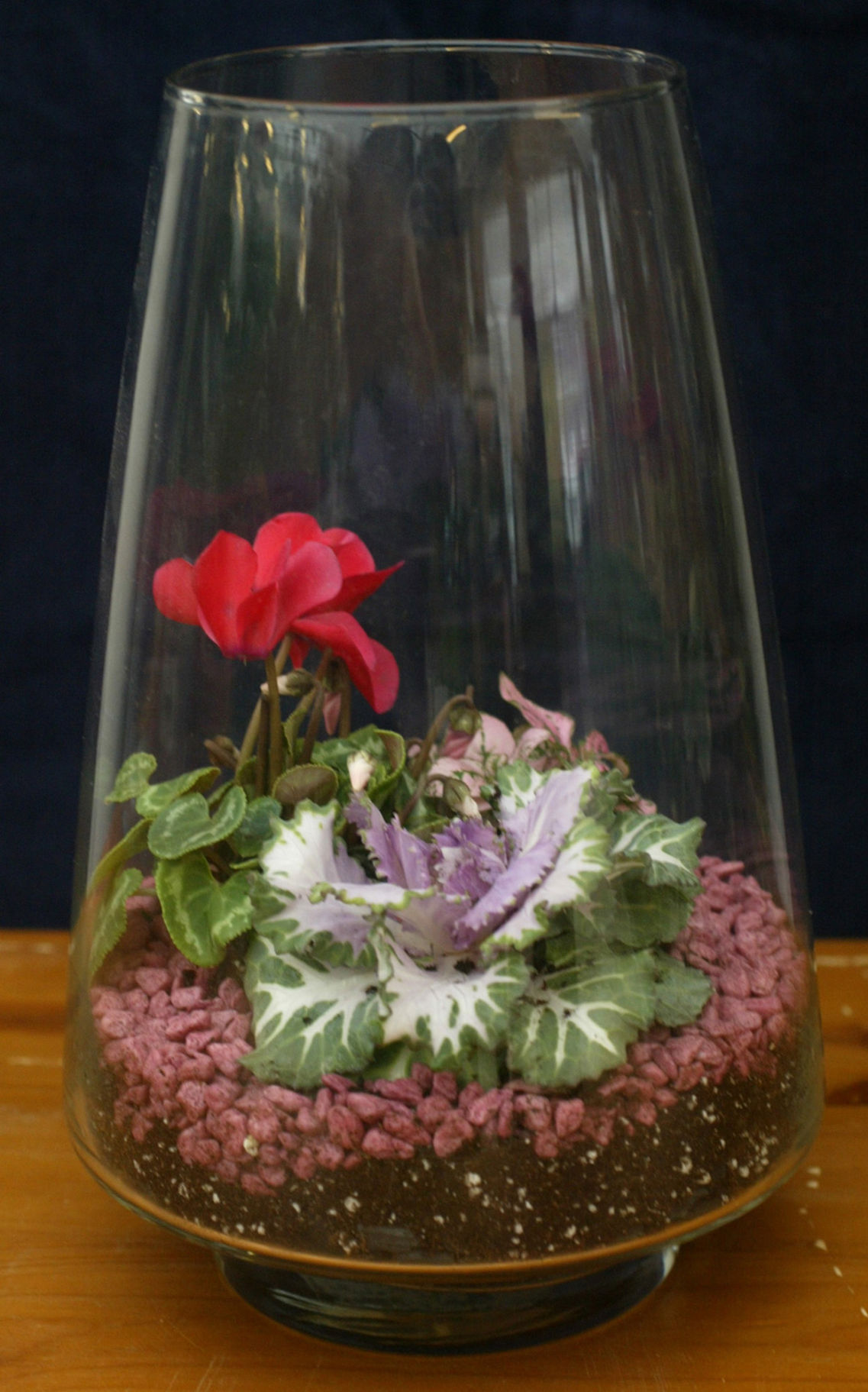 SEE PHOTOS: Keep growing season going with terrariums | Local