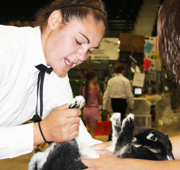 ButteSilver Bow County fair starts Thursday; concerts planned