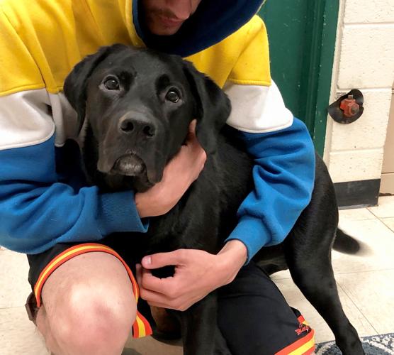 Pintler Pets hoping for a small miracle for Ryder, whose life hasn't been  easy