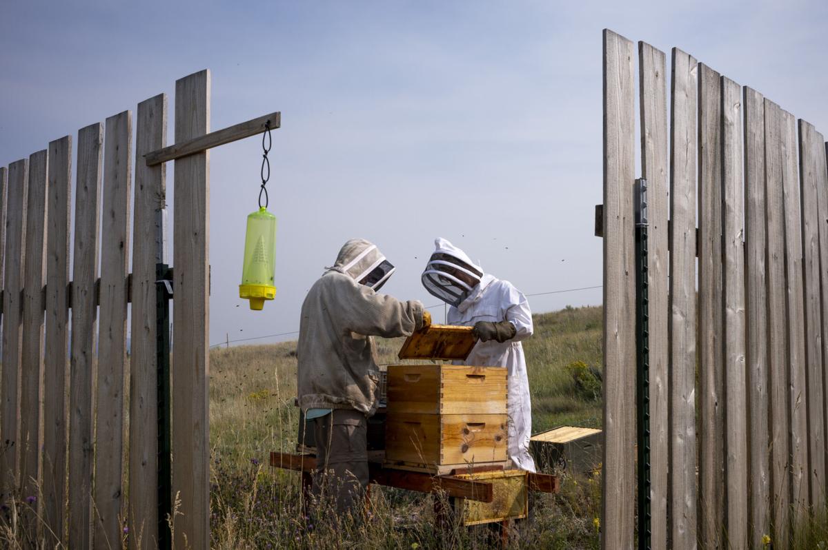 Meet this 7-year-old beekeeper whose passion for her hobby matches