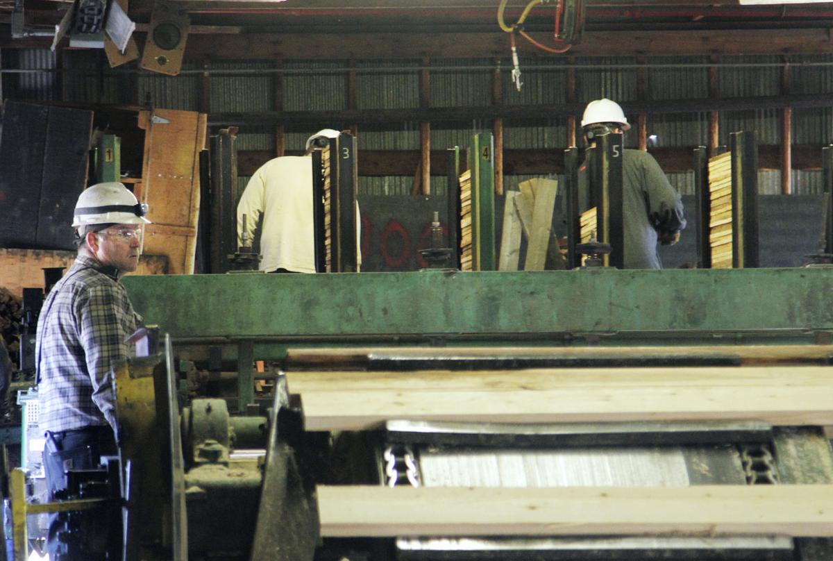Timber Legacy Offers Few Lessons For Industry Future State Regional Mtstandard Com