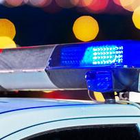 Butte police reports - Vimarsana News