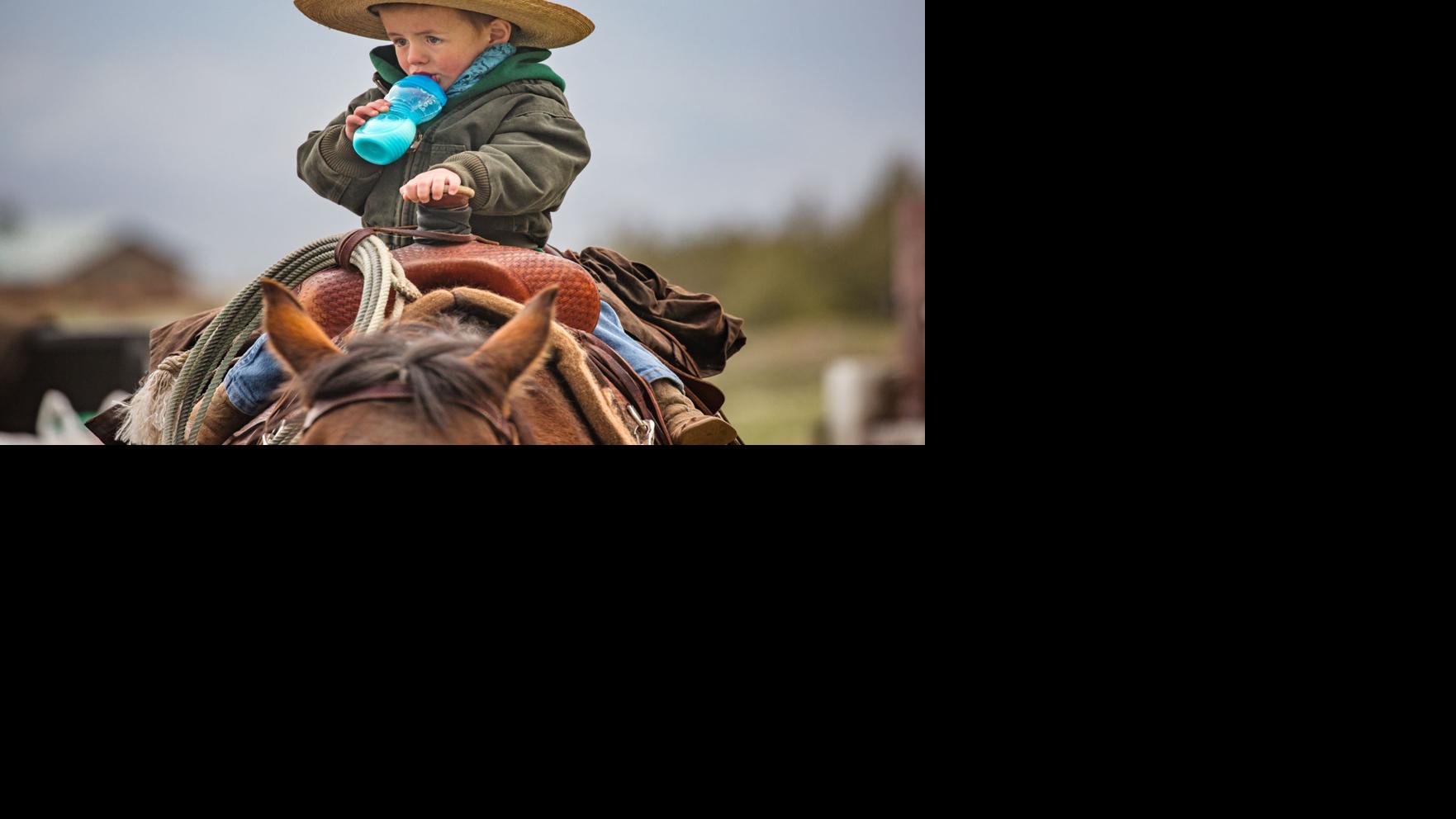 Beautiful photos of Montana's farms and ranches State and Regional