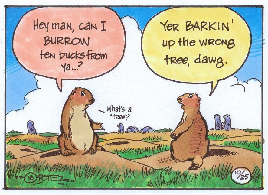 Prairie dogs dig tunnels more than 100 feet long