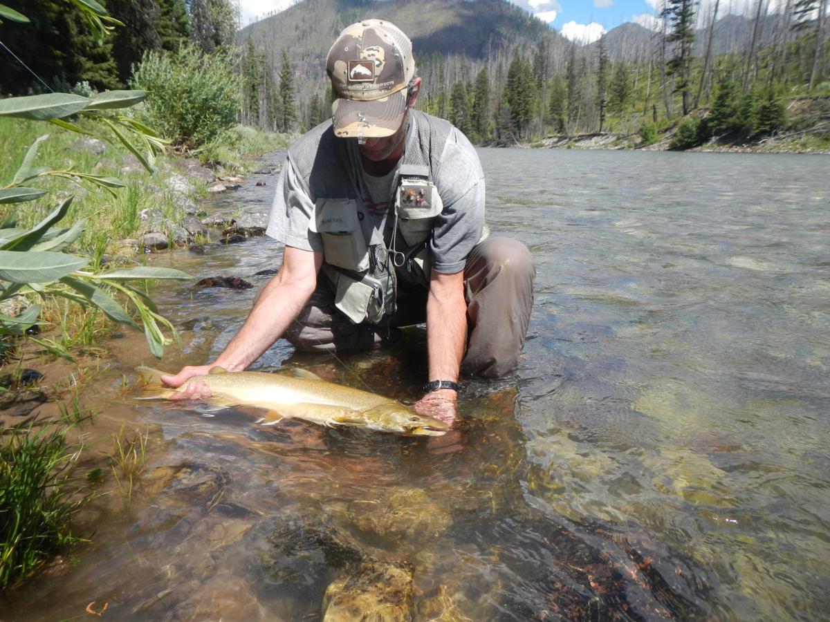 Catch cards keep bull trout fishery viable