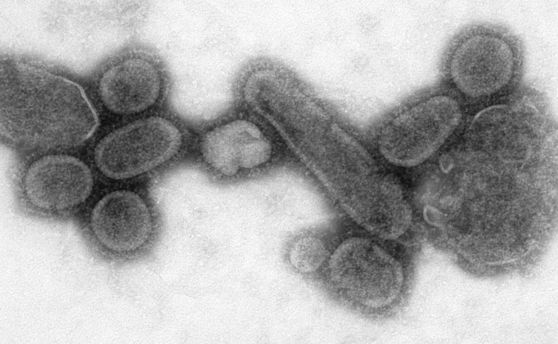 9. The genes of the virus have never been sequenced