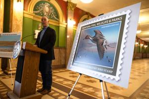 Montana's 2024 Migratory Bird Stamp contest winner announced