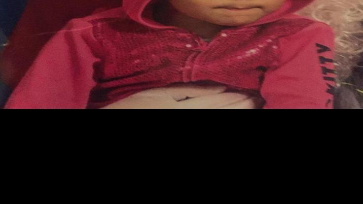 Amber Alert canceled for missing girl, but search continues | Local | mtstandard.com