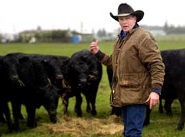 Beef boom aided ranchers prior to mad cow scare