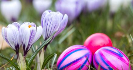 Area Easter events : vimarsana.com