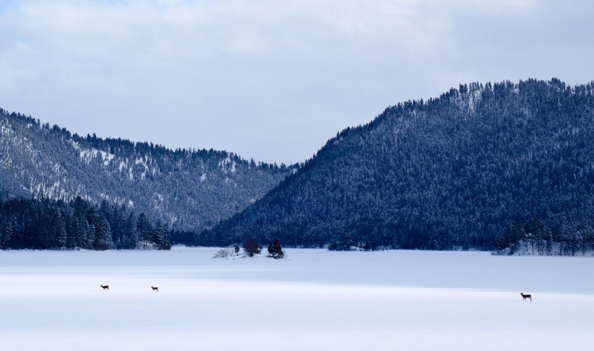 Salmon Lake file