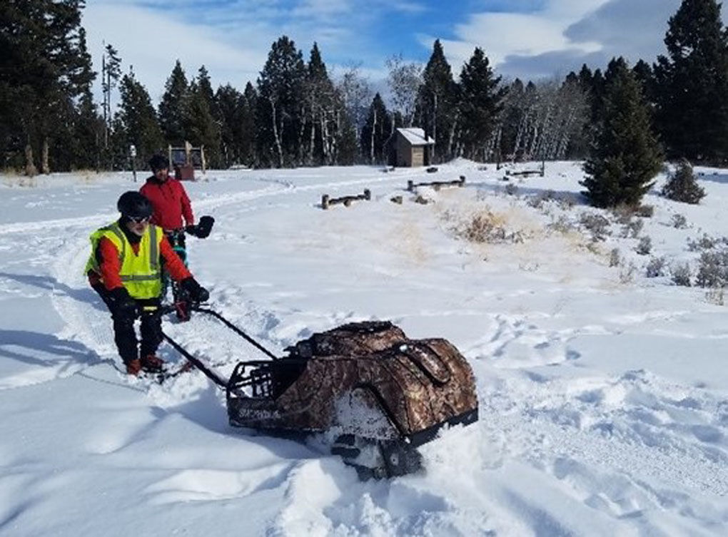 Friends of Thompson Park offering clinic on trailgrooming with Snowdog