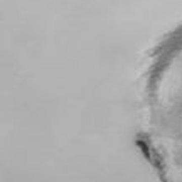 Joe Jordan Handball - Joseph Jordan 85 Obituaries Mtstandard Com