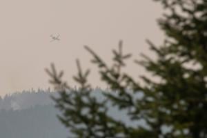 Miller Peak fire fizzles as crews tackle new wildfire starts