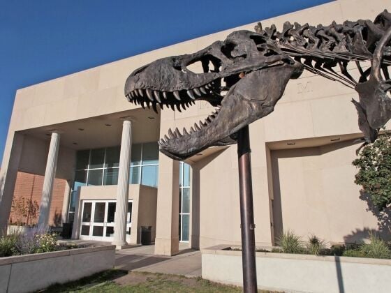 Museum of the Rockies announces departure of Executive Director Christopher Dobbs
