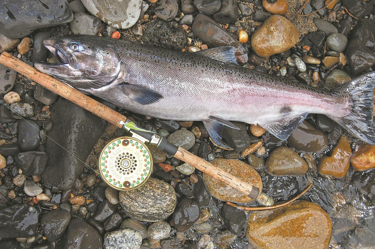 Idaho sets salmon seasons; middling spring chinook return expected