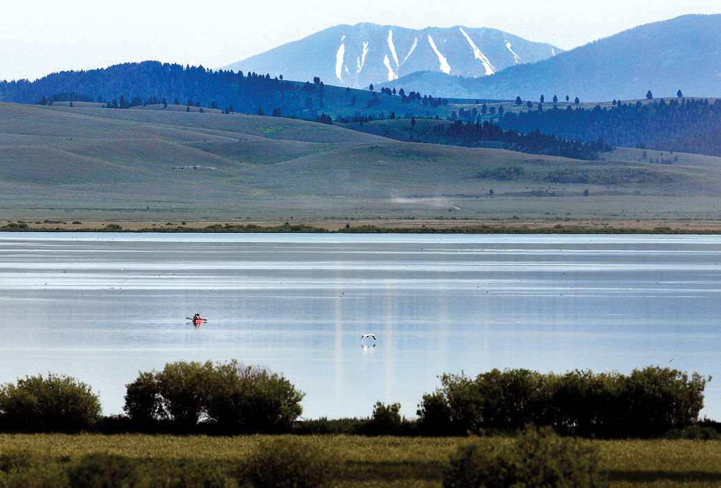 Red Rock Lakes Refuge home to swans and more Outdoors