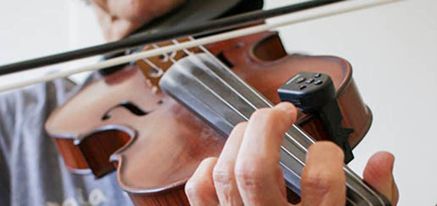 Fiddle player
