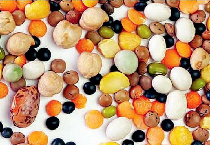 Health: Controlling Cholesterol