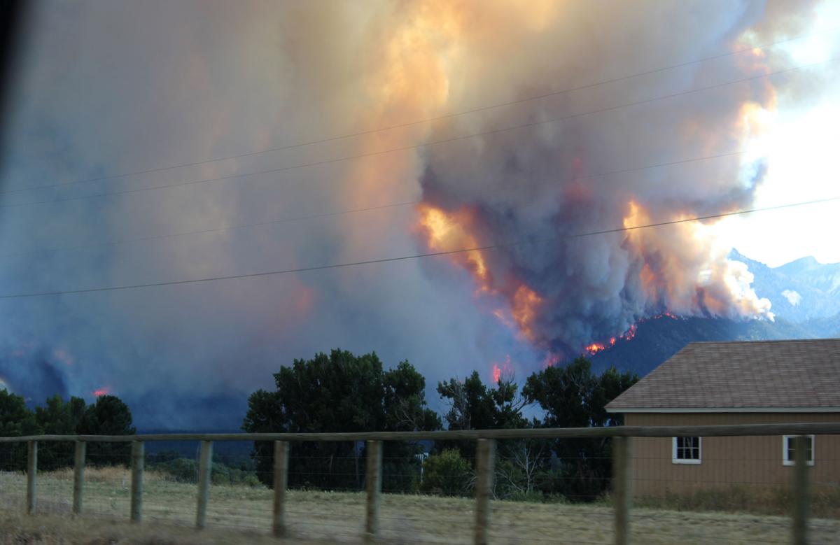 UPDATED Structures destroyed, hundreds evacuated as Hamilton fire