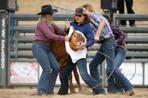 Photo: Steer dressing at the Butte-Silver Bow County Fair