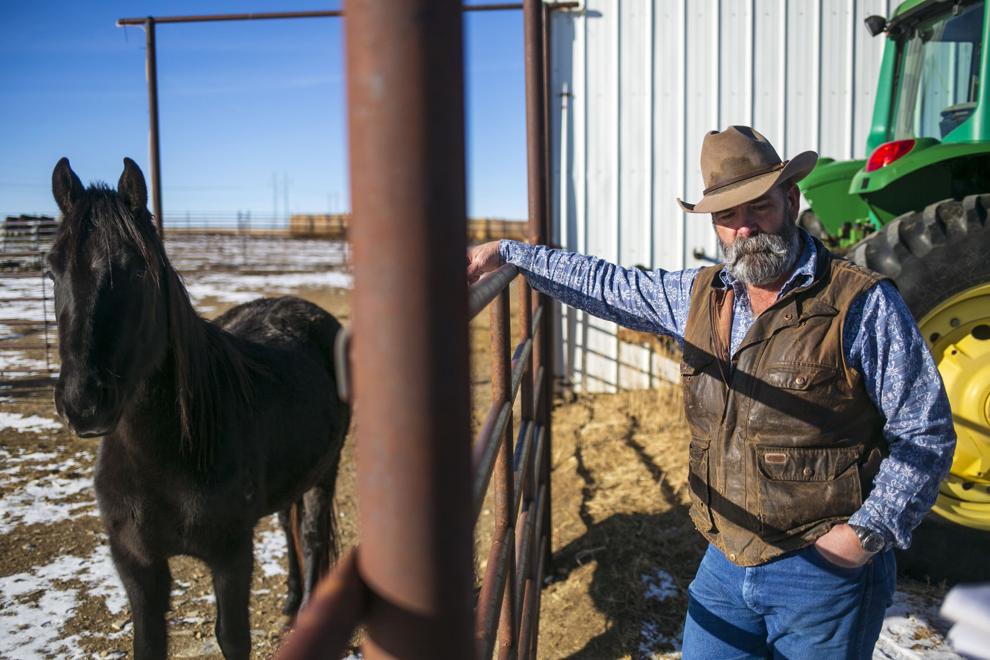 Pandemic pushes Ryegate horse trainer online to virtual audience