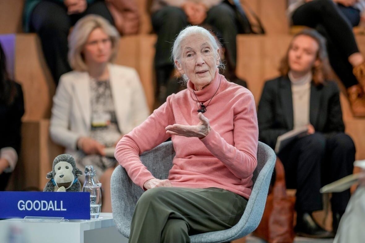 Jane Goodall dies at 91